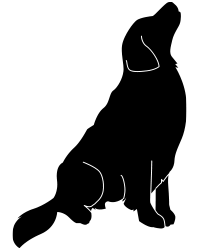 Dog Element